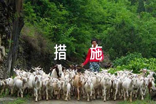 业余篮球爱好者如何通过智能计分改善投篮命中率_0